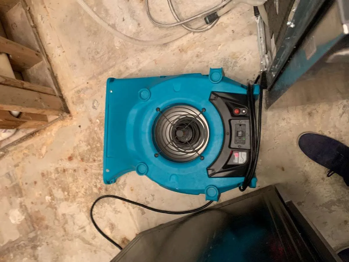 Air mover drying equipment for Mold Remediation & Removal in Butner